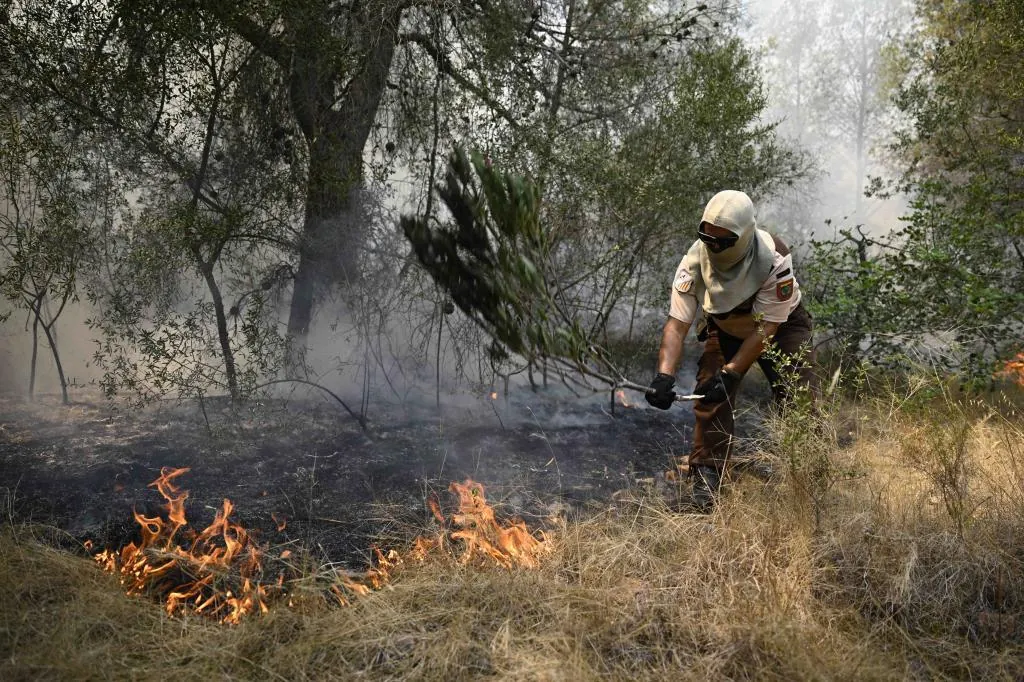 Incendios en Madrid, Vall d'Uixó y resto de España, última hora, en directo | El incendio que afecta a Madrid, Ávila y Toledo mantiene estable su perímetro durante 24 horas por primera vez desde el inicio de la emergencia