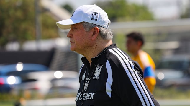 Tigres vs Atlante dónde ver: a qué hora juega el equipo de Miguel Herrera y canal Jornada 5, Liga MX 2026        
