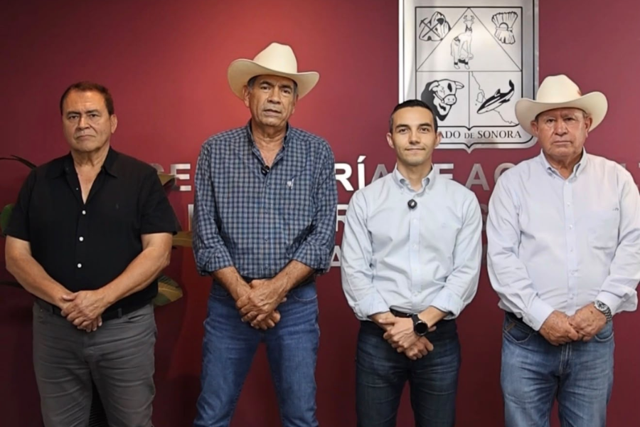 Sonora avanza hacia el Nivel 1 en estatus de sanidad ganadera | Radio Sonora