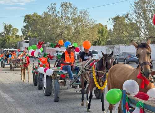 La Jornada: En Torreón, “jubilan”a caballos y burros que por años jalaron carromatos