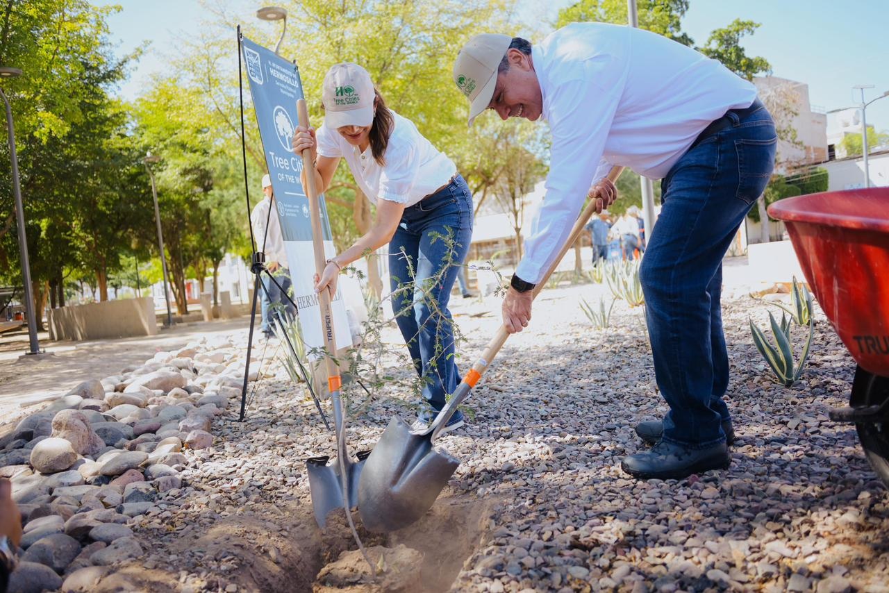 Consolida Toño Astiazarán a Hermosillo como líder en acción climática al ganar por segunda vez reconocimiento de la WWF