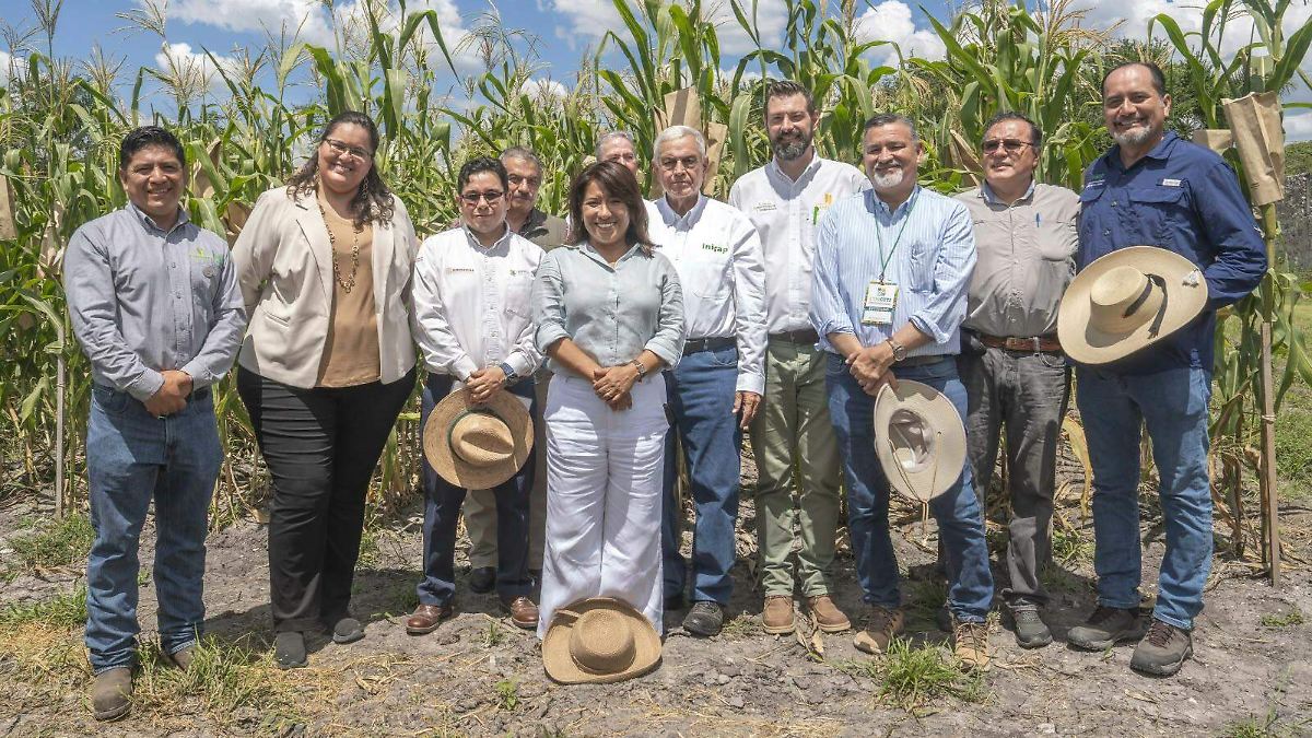 Suman esfuerzos Agricultura y CIMMYT para transformar los sistemas agroalimentarios - El Sol de México